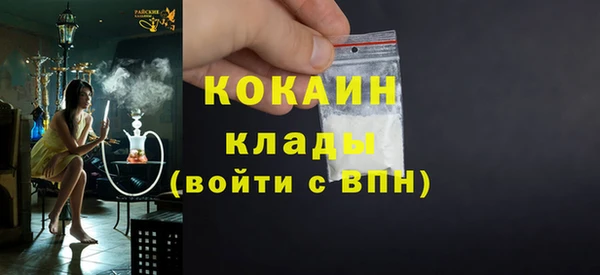 ГАЛЛЮЦИНОГЕННЫЕ ГРИБЫ Аркадак