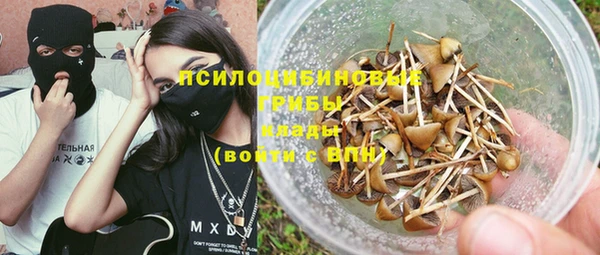 крисы Арсеньев