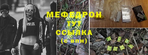 ГАЛЛЮЦИНОГЕННЫЕ ГРИБЫ Аркадак