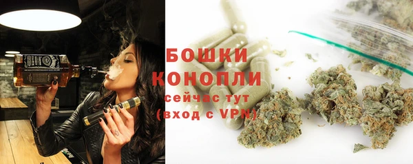 крисы Арсеньев