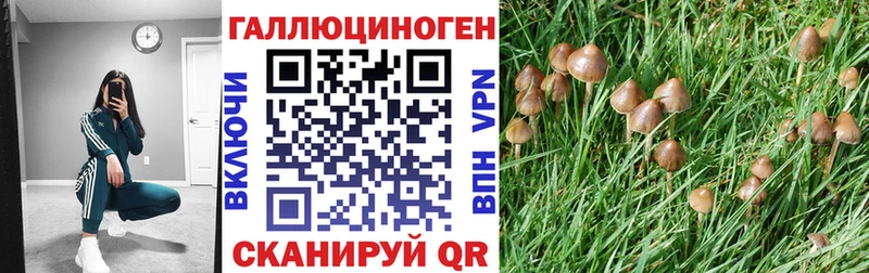закладка Ухта Псилоцибиновые грибы GOLDEN TEACHER